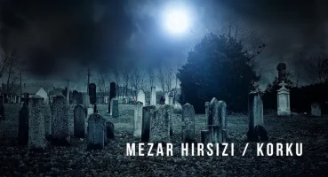 MEZAR HIRSIZI